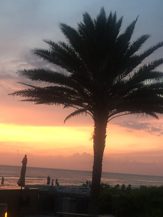 WHAT IS THAT BITING YOU AT SUNSET?
